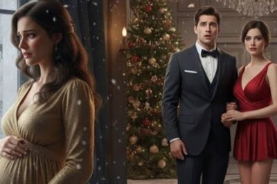 Schwangere Ehefrau verschwindet an Weihnachten – Ehemann und Geliebte geschockt DT