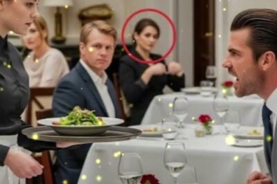 Milliardär feuert Kellnerin wegen Widerworten – am nächsten Tag steht ihre Anwältin vor ihm DT