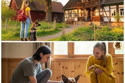 Sie lachten, als ich mittellos das Heim verließ, bis ich die Schlüssel zum Hof meiner Oma und eine.. DT