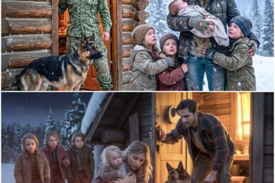 Witwe bettelte im Blizzard für ihre Kinder – dann tat der Soldat mit seinem Hund DAS DT