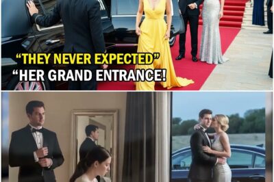 Sie hatten die einfache Frau des Milliardärs nicht eingeladen – sie kam als VIP-Gast in einer Limousine an und ließ ihn allein. DT