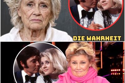 Gitte Hænning bricht das Schweigen: „Sie zwangen Rex Gildo in den Tod“ – Die schockierende Wahrheit über die geplante Zwangshochzeit und den Verrat im goldenen Käfig