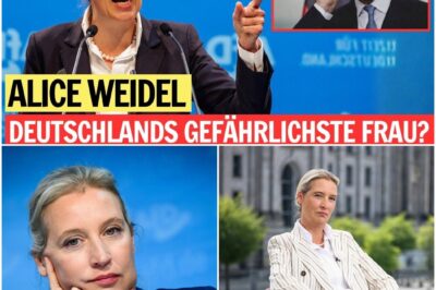 Alice Weidel: Die Architektin der schleichenden Normalisierung – Warum die wahre Gefahr für die Demokratie nicht laut, sondern leise ist