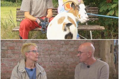 Tränen-Aus bei „Bauer sucht Frau“: Warum Carola die Hofwoche bei Herbert abrupt beendet und die Liebe keine Chance hatte