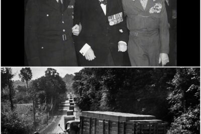 Der Tag, an dem Eisenhower Montgomery schließlich sagte: „Halt den Mund oder verschwinde!“