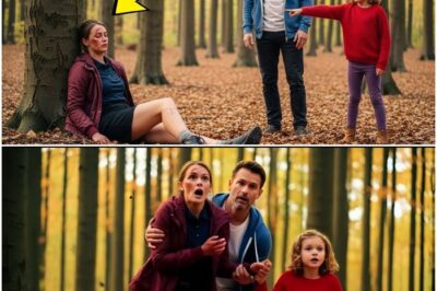 Alleinerziehender Vater findet mit seiner Tochter eine Frau im Wald – niemand rechnet damit D