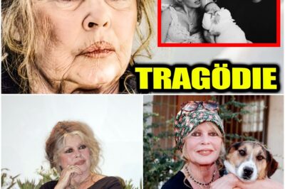 Abschied von einer Jahrhundert-Ikone: Brigitte Bardot stirbt mit 91 – Ihre letzte Botschaft rührt die Welt zu Tränen