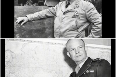 Warum Patton wütend war, als Eisenhower Montgomery statt ihm Treibstoff gab D