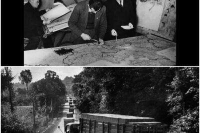 Was Hitler sagte, als seine Generäle zugaben, Patton überhaupt nicht lesen zu können D