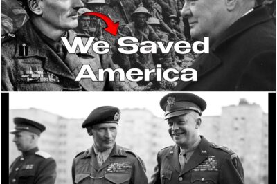 Was Churchill sagte, als Montgomery sich die Rettung der Amerikaner zuschrieb D