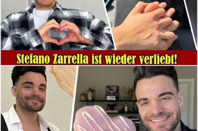 Die mysteriöse Hand: Stefano Zarrella heizt mit intimer Instagram-Story die Gerüchte um seine neue große Liebe an