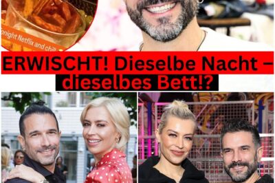 Geheime Netflix-Nacht enthüllt: Hat Marc Terenzi nur Wochen nach dem Verena-Drama seine neue Liebe Priscilla di Laura gefunden?