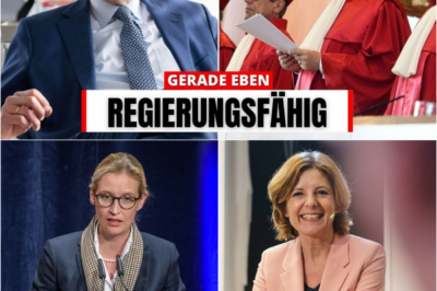 Schock-Urteil aus Karlsruhe: Das Ende der juristischen Brandmauer stürzt die deutsche Politik ins Bodenlose