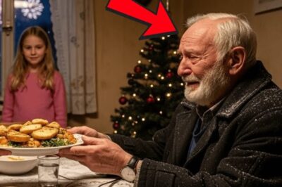 An Silvester Bot Eine Arme Frau Einem Fremden Essen An… Ohne Zu Wissen Dass Er Ein Millionär War D