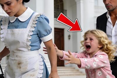 Mafiaboss entließ die Nanny ohne Grund – bis seine Tochter etwas sagte, das ihn zu Tränen rührte DD