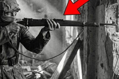 Wie Ein Deutscher Scharfschütze Mit Einem „WAHNSINNIGEN“ Trick 147 Sowjets In 28 Tagen Besiegte  DD