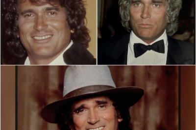 “Eine Woche vor seinem Tod enthüllte Michael Landon den Schmerz, den er 30 Jahre lang verborgen hatte“