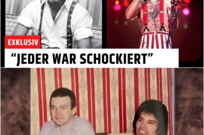 Was bei Freddie Mercurys letztem Konzert WIRKLICH geschah