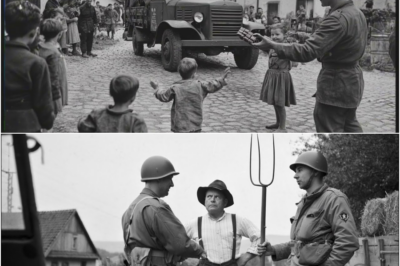 “You’re Not Stealing from Us?” — Austrian Farmer Meets Occupying American Troops