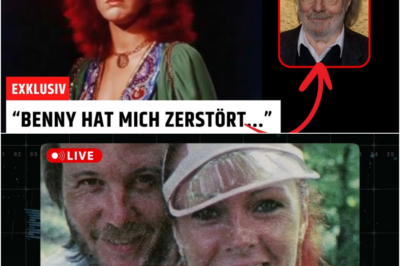 1980 kam Benny nach Hause und sagte drei Worte, die ABBA für immer zerstörten