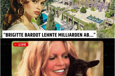 Mit 90 Jahren enthüllt Brigitte Bardot endlich, warum sie Milliarden ablehnte