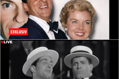 WAS DEAN MARTIN IN SEINEN LETZTEN JAHREN TAT, BRICHT JEDEM DAS HERZ
