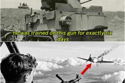 This 19 Year Old Had Never Fired a Gun — And Accidentally Shot Down a Legendary Ace