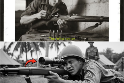 They Mocked His ‘Mail-Order’ Rifle — Until He Killed 11 Japanese Snipers in 4 Days