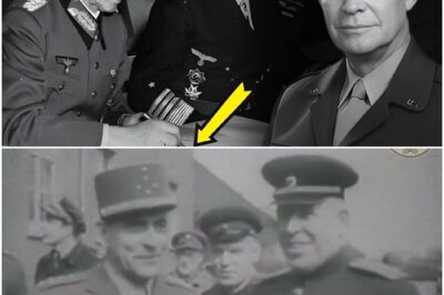 Warum Roosevelt Truman 82 Tage vor seinem Tod zum Vizepräsidenten wählte D