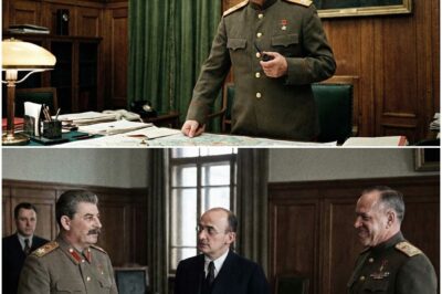 Als Stalin erfuhr, dass Hitler den Vereinigten Staaten den Krieg erklärt hatte | Geschichte aus dem Zweiten Weltkrieg D