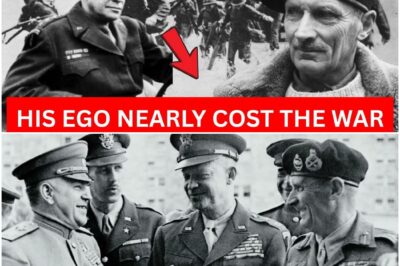 Was Eisenhower nach dem Krieg schließlich über Montgomery zugab D