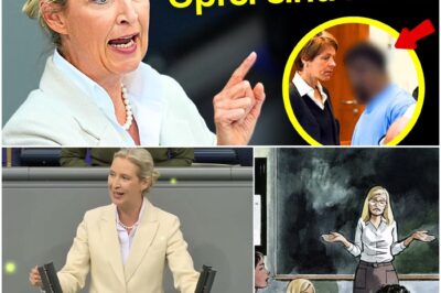 Donnerschlag im Parlament: Alice Weidel rechnet in einer flammenden Wutrede gnadenlos mit der Migrationspolitik und dem „Bürgergeld-Betrug“ ab
