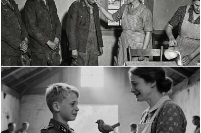 Deutsche Kindersoldaten weinten nach ihren Müttern – also nahmen amerikanische Bäuerinnen sie bei sich auf. D