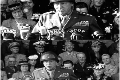 Was sagte Bradley, als Patton sich weigerte, ihn vor dem Rheinsprung zu wecken? D