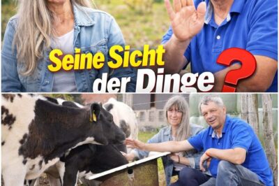 Rosenkrieg statt Happy End: Rinderzüchter Johann rechnet gnadenlos mit Hofdame Katja ab und enthüllt neue Liebe