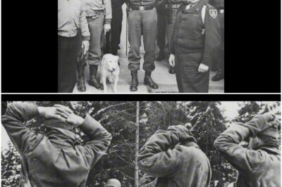 Was Patton tat, als er erfuhr, dass seine Soldaten 50 SS-Wachmänner hingerichtet hatten D