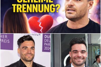 Stefano Zarrella und das Rätsel um sein gebrochenes Herz: Ein dramatisches Video, heimliche Tränen und die unendliche Suche nach der wahren Liebe