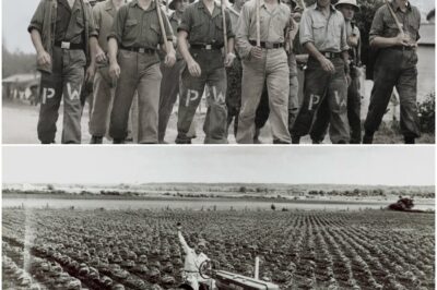 Deutsche Kriegsgefangene verspotteten einen als „faul“ geltenden US-amerikanischen Farmer – bis er seinen Motor startete. D