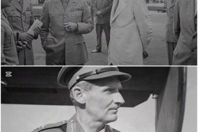 Der Tag, an dem Eisenhower Montgomery endlich in seine Schranken wies | Der Machtkampf der Alliierten von 1945 D