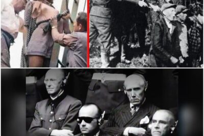 Hinrichtung von 300 Nazis, die 1700 Polen ermordet hatten: Schwer zu ertragen. D