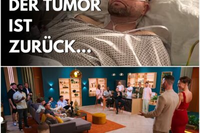 Schicksalsschlag nach dem Ja-Wort: „Love is Blind“-Star Konstantin kämpft erneut gegen Hirntumor – Das Drama hinter den Kulissen