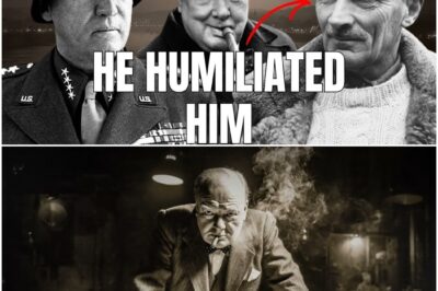 Was Churchill sagte, als Patton in 24 Stunden das schaffte, was Montgomery in einem Monat nicht gelang. D