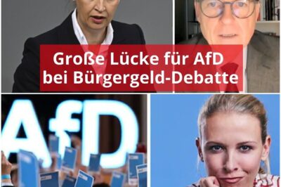 Bürgergeld-Debakel im Bundestag: Wie die „Mini-Reform“ die Arbeitnehmer verrät und der AfD den Weg ebnet