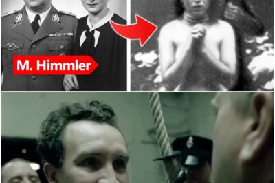 Das grausame Schicksal der Nazi-Ehefrauen nach dem Krieg D