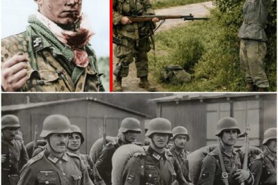 Warum gefangene SS-Soldaten erschossen wurden *WARNUNG: NICHT FÜR ZARTBESITZER* D