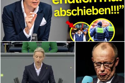 „Weihnachtsmärkte werden zu Festungen“ – Alice Weidels Generalabrechnung mit der gescheiterten Asylpolitik der Regierung Merz