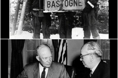 What Churchill Said After Montgomery Took Credit for America’s Greatest Battle D