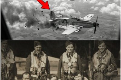 Wie ein Pilot mit einer „IRREN“ Methode 43 britische Bomber in nur 30 Minuten abschoss