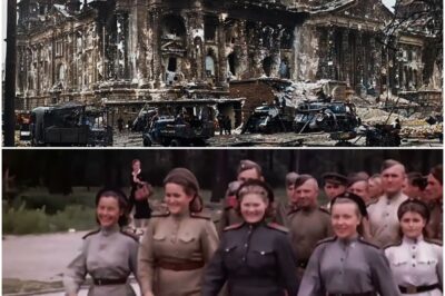 Der Fall von Berlin: Unzensierte Aufnahmen von Hitlers Letzten Tagen (1945)  DD