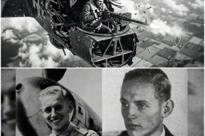 Als Sowjets seine Bf-109 in 7.300 Metern zerschossen — schoss er im Fallen weiter zurück   DD